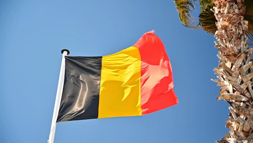 Belgian flag waving on a flagpole against a blue sky with palm trees, showcasing national pride, flags, and symbolic outdoor imagery.