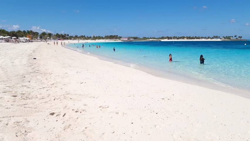 Bahamas Ocean Cay Beach – White Sand and Palm Trees in Sunshine | 4K
