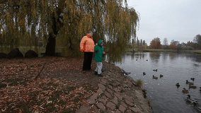 A grandmother with two grandsons, boys, are walking in the park and feeding ducks in the river. - Powered by Shutterstock - Get 15% off with code: PIKWIZARD15