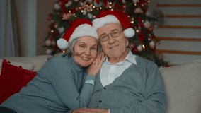 Portrait of happy elderly spouses at home in Christmas holidays, smiling people. Joyful married couple with funny Santa hats, grandmother and grandpa looking at camera, New year celebration, good mood - Powered by Shutterstock - Get 15% off with code: PIKWIZARD15