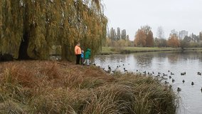 A grandmother with two grandsons, boys, are walking in the park and feeding ducks in the river. - Powered by Shutterstock - Get 15% off with code: PIKWIZARD15