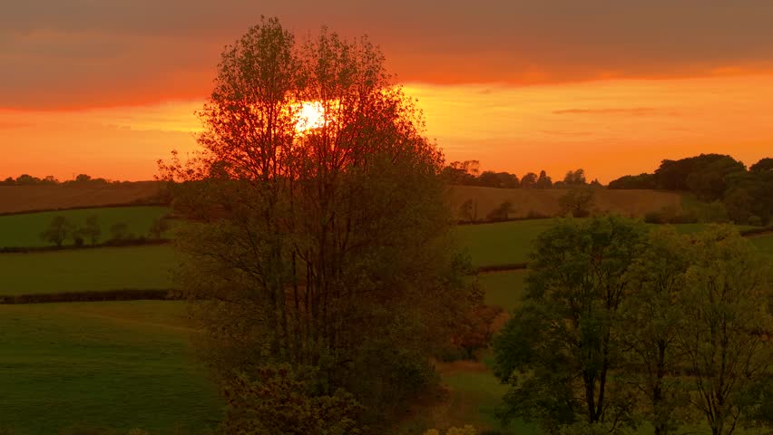 Sun setting behind trees over agricultural landscape glowing with orange light. Evening rays illuminating farmland fields creating warm countryside mood. Sunset covering rural meadows with golden