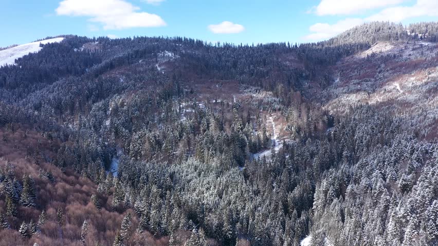 Aerial view of snow covered mountain forest at winter 