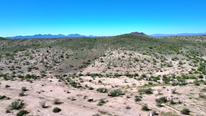 Aerial view of the rugged desert terrain with scattered shrubs and a lone horse wandering across the arid landscape, Butcher Jones Beach Site, Arizona, United States.