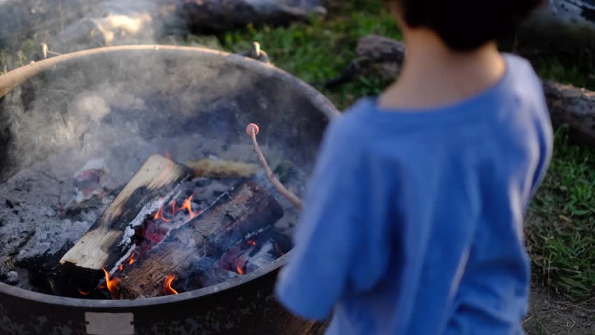 Family camping in yosemite, children and parent roasting marshmallows over a smoky campfire, sharing a sweet snack and creating memories outdoors	