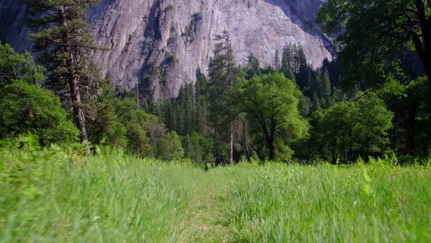 Family traversing a lush green meadow in yosemite valley, mother with two young boys carrying a backpack, exploring the park with massive granite formations and dense forest background
