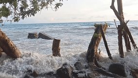 Waves crash against rocks and tree roots on a tropical beach at sunset. A stunning ocean landscape capturing the power of nature, perfect for sea, beach, and coastal scenery themes. - Powered by Shutterstock - Get 15% off with code: PIKWIZARD15