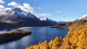 A vast aerial panorama of Lake Silvaplana in the Upper Engadin, Switzerland. Deep blue lake water contrasts with a large golden larch peninsula and a background of massive, snow-capped mountains - Powered by Shutterstock - Get 15% off with code: PIKWIZARD15
