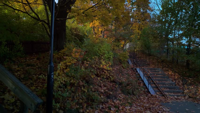 Stairway Covered In Autumn Color Foliage In Park In Stockholm, Sweden. Static Shot