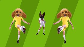 Promo video of one model. Soccer players with dog heads juggling balls on green background. Concept of humor, surreal creativity, sports advertising, social media visuals, and playful mood. - Powered by Shutterstock - Get 15% off with code: PIKWIZARD15