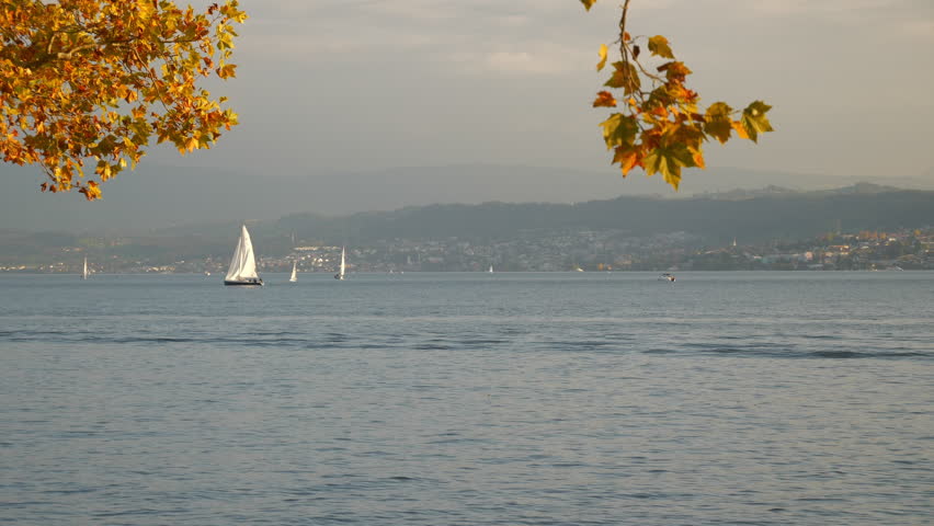 sunny day autumn tree top zurich city famous lake sail boat traffic slow motion panorama 4k switzerland