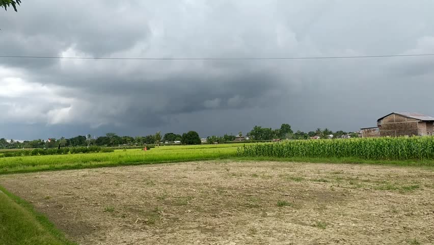 Agricultural Field Under Stormy Sky: A Contrast of Rural Landscapes