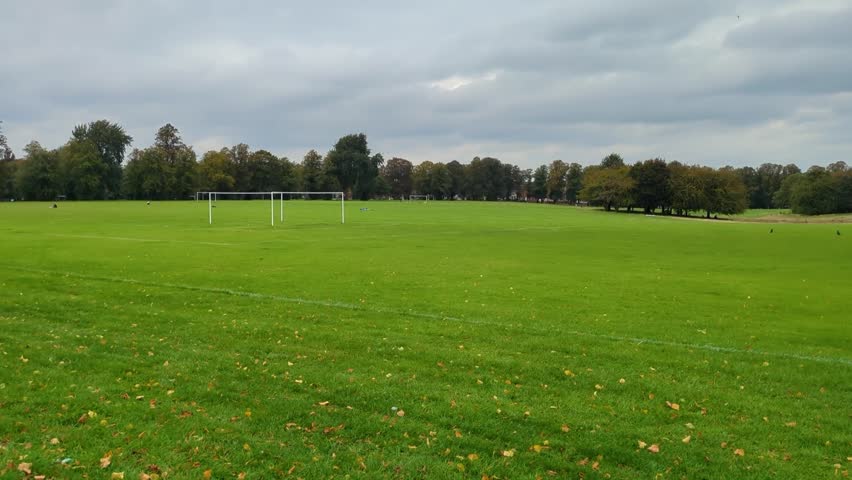 Static shot of a football field in the UK showing several birds scattered across the green grass, with trees in the background under a cloudy sky.