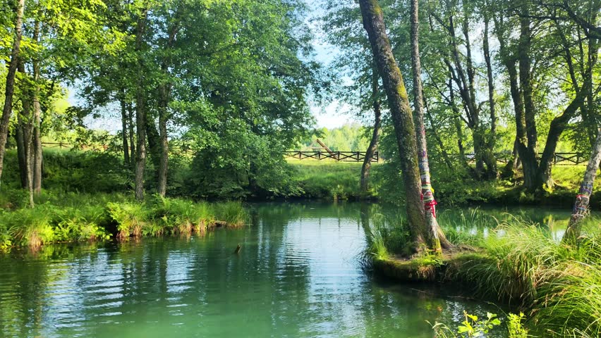 Idyllic forest scene presents a calm, green river. Trees on the bank are decorated with colorful ribbons.