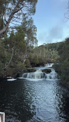 Beautiful clear river and small cascading waterfalls in Cradle Mountain National Park, Tasmania, surrounded by lush green forest. Natural landscape and travel destination in Australia.