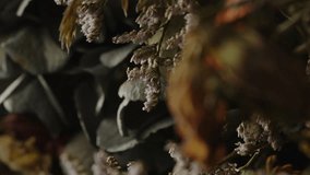 Beautiful focus rack of withering flowers. The petals of a dead flower come into focus while the bulb hangs downwards - Powered by Shutterstock - Get 15% off with code: PIKWIZARD15