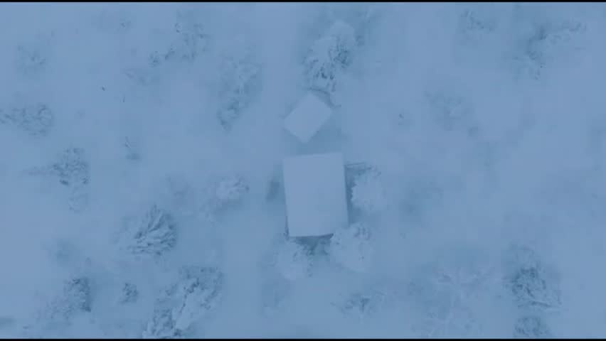 Aerial View of Isolated Houses and Conifer Trees Covered in Heavy Snow