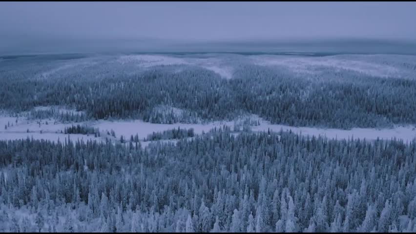 Aerial View of Isolated Houses and Conifer Trees Covered in Heavy Snow