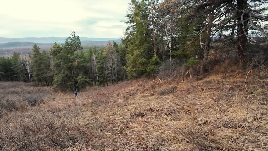 Peaceful mountain scenery, Calm highland view amidst trees, Serene highland scene featuring pine trees and cloudy skies, Quiet mountain landscape with thick forests and overcast sky above