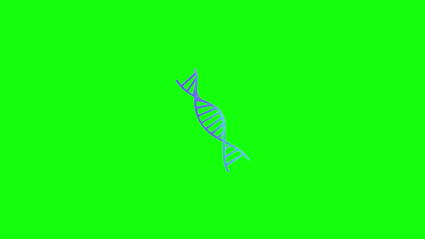 A 3D DNA double helix slowly rotates on a green screen, ideal for science and biology visuals. - Powered by Shutterstock - Get 15% off with code: PIKWIZARD15