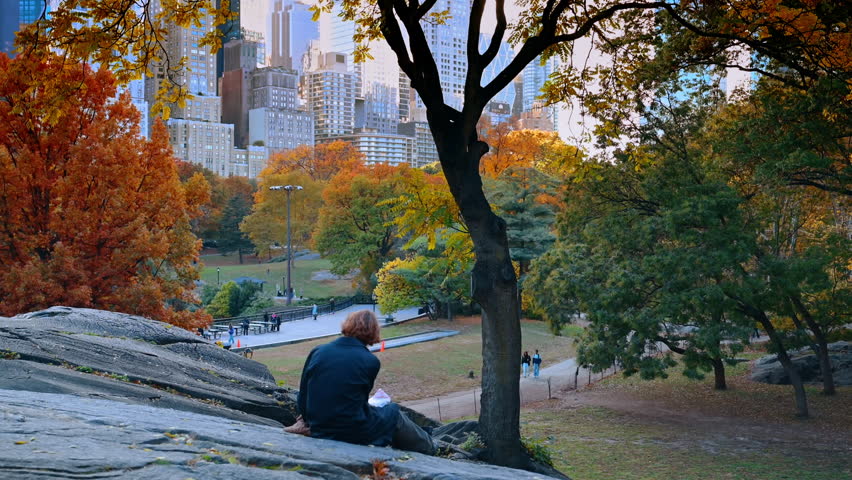 New York, USA, 8 October 2025: Hilltop View of Central Park in Autumn. A man sits on a rocky hill overlooking Central Park’s fall colors and Manhattan skyline in the distance.