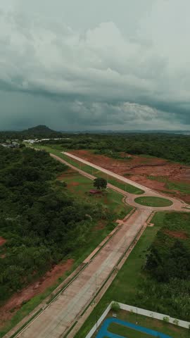 A road with a large tree in the middle of it. The sky is cloudy and the road is empty