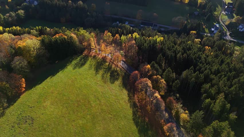 Aerial drone view of autumn forest across mountain slopes, showing layered foliage colors, deep landscape perspective, calm motion, and immersive natural atmosphere in seasonal environment.