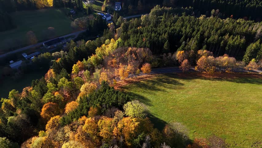 Aerial drone view of autumn forest across mountain slopes, showing layered foliage colors, deep landscape perspective, calm motion, and immersive natural atmosphere in seasonal environment.