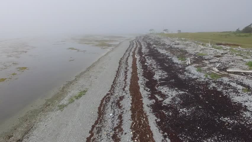 Aerial View of Two Houses and a Cemetery on the Shore of West Pointe (Pointe Ouest) with Coastal Fog, Gravel Shore, Driftwood and Boreal Forest in Anticosti Island, Quebec, Canada 