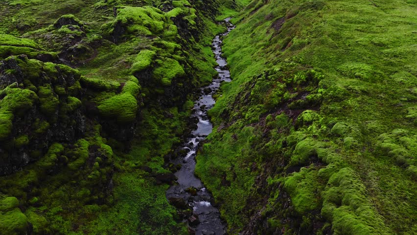 Aerial camera follows a dark bubbling stream through a narrow rocky ravine in Iceland, moss covers lava rock and boulders, high contrast summer light emphasizes texture.