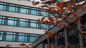 Modern Hospital: Designers use reflective glass with autumn leaves to explore harmonious color and light interactions - Powered by Shutterstock - Get 15% off with code: PIKWIZARD15