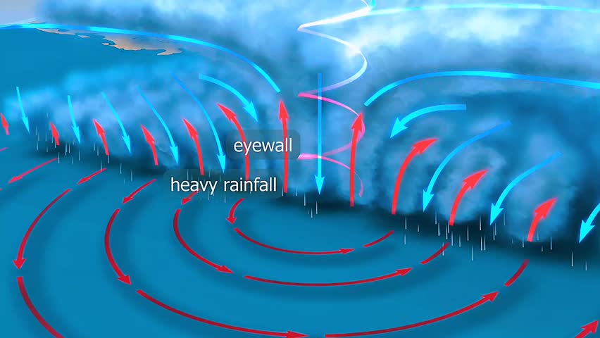 3D animation showing tropical cyclone cross section: eye, eyewall, spiral bands, wind flow, and vertical structure