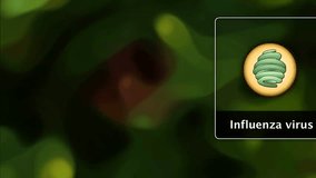 3D animation showing influenza virus structure: spherical envelope, HA and NA spikes, RNA segments, and capsid - Powered by Shutterstock - Get 15% off with code: PIKWIZARD15