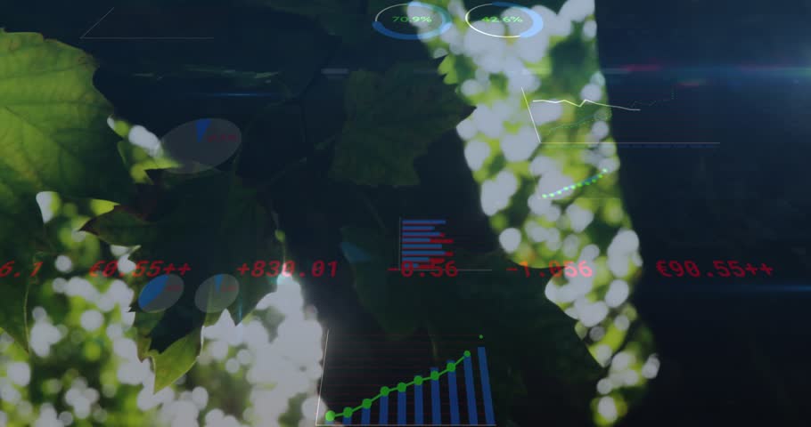 Sun flare moving in, causing HUD fading over backlit leaf, graphs rising, visualizing market gains. Foliage, canopy, overlay, finance, data, gauges, bokeh
