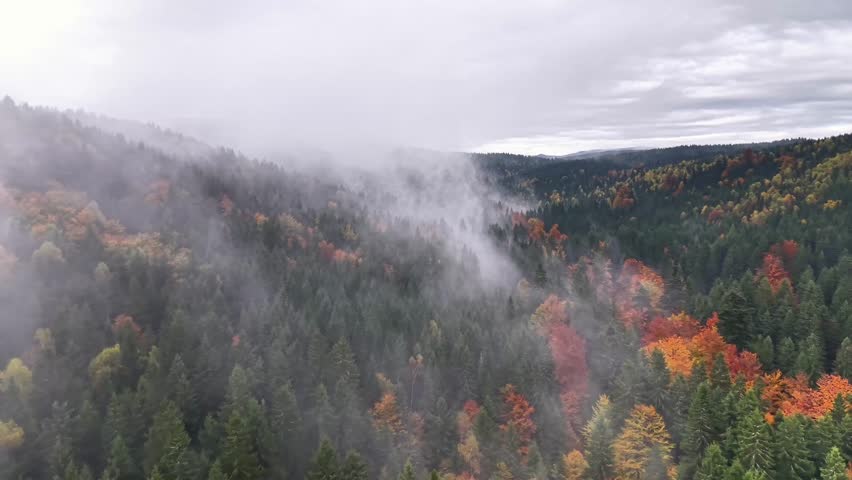 Misty mountain landscape, Environmental filming showcasing rolling cloud banks over lively birch and pine woodland areas