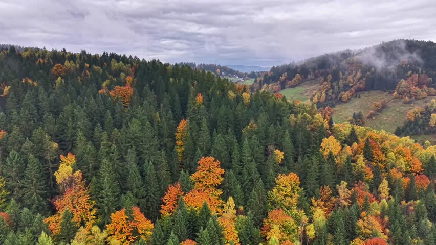 Autumn hillside with lush trees, Aerial shot of peaceful forest scene, Misty hilltop meadow capturing vibrant fall - Powered by Shutterstock - Get 15% off with code: PIKWIZARD15