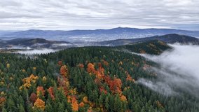 Vast fall landscape, Expansive fall hillside under hazy sky, Broad autumn mountain crest shrouded in drifting fog - Powered by Shutterstock - Get 15% off with code: PIKWIZARD15