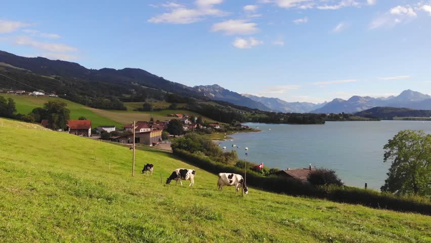 Aerial view of a lush green valley with cows grazing near a calm lake surrounded by mountains.