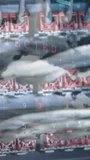 Industrial machinery and fish processing over digital data and malware detection. Industry, automation, technology, fishery, cybersecurity, software - Powered by Shutterstock - Get 15% off with code: PIKWIZARD15