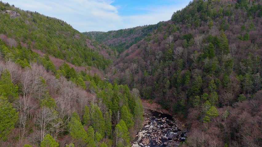 Blackwater River winding in Blackwater Falls State Park, near Thomas West Viriginia, USA