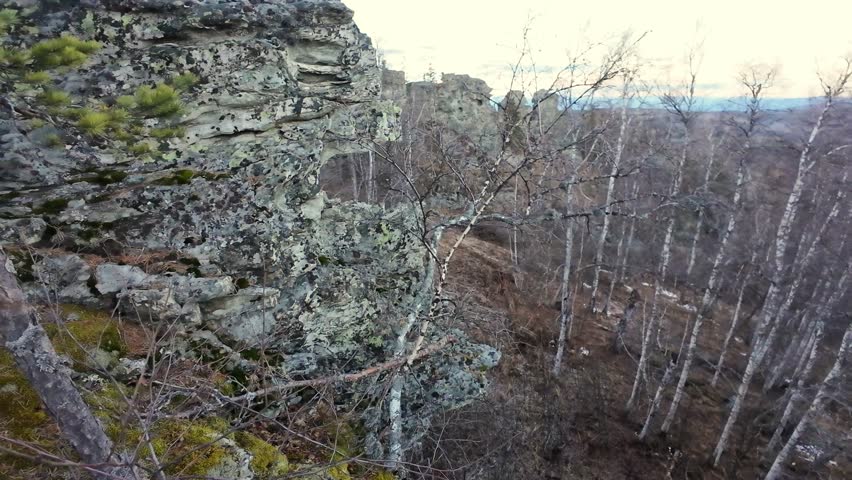 Mountain view panorama, Alpine scenery with towering trees, Cliffside overlooking dense woods and rolling hills, Remote viewpoint providing sweeping vistas of rugged mountain terrain