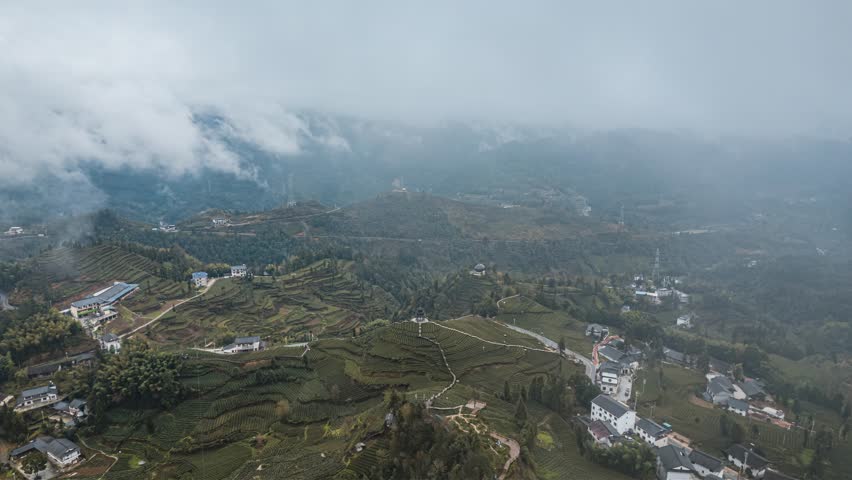 Aerial view of terraced tea gardens and mountain village shrouded in misty clouds, showcasing agricultural landscape and rural architecture in mountainous terrain.