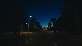 A quiet palm-lined road captured at dusk, illuminated by warm streetlights. The sky transitions from deep blue to the last orange hues of sunset, creating a peaceful, cinematic atmosphere. - Powered by Shutterstock - Get 15% off with code: PIKWIZARD15