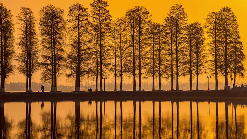 Golden sunrise over East Lake in Wuhan with silhouetted trees reflecting in calm water, early morning exercise time lapse moment on lakeside greenway with people and crowds
