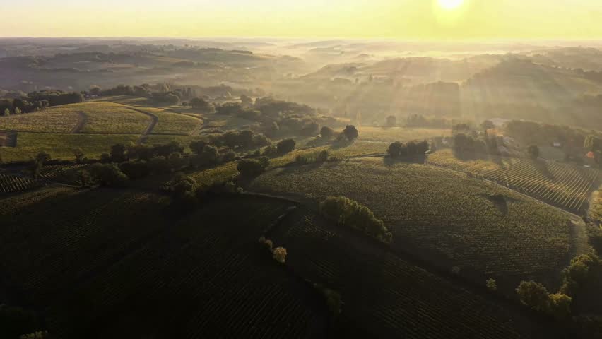 Early morning light fills the sky as the sun rises over lush vineyards and hills. The peaceful countryside awakens, showcasing a beautiful, tranquil scene, Bordeaux Vineyard, France