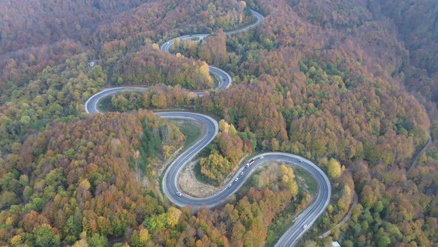 Aerial view of asphalt mountain road winding through colorful trees in autumn.