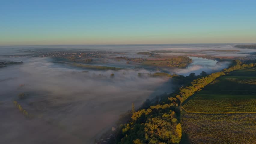 Early morning reveals a stunning valley wrapped in mist, with a gently winding river and lush greenery. The rising sun casts a warm glow over the tranquil scene, Bordeaux Vineyard, France