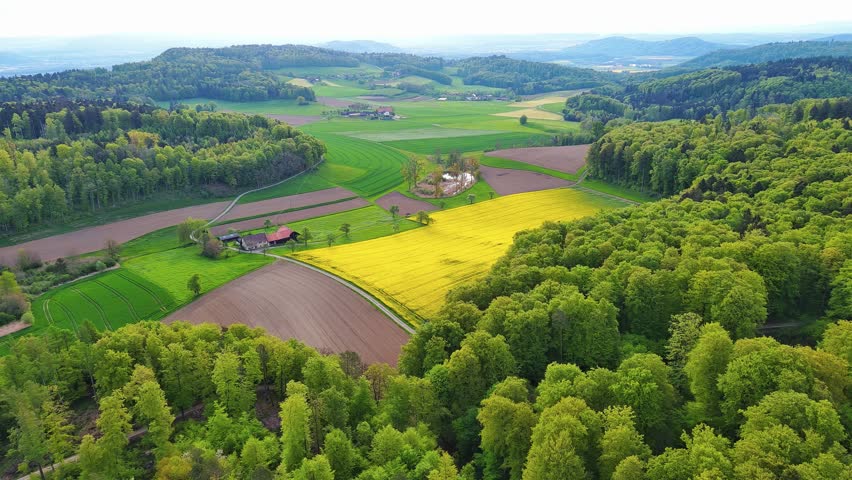 A farm stands on a hill with crop fields, white bales of hay and pastures surrounded by forest