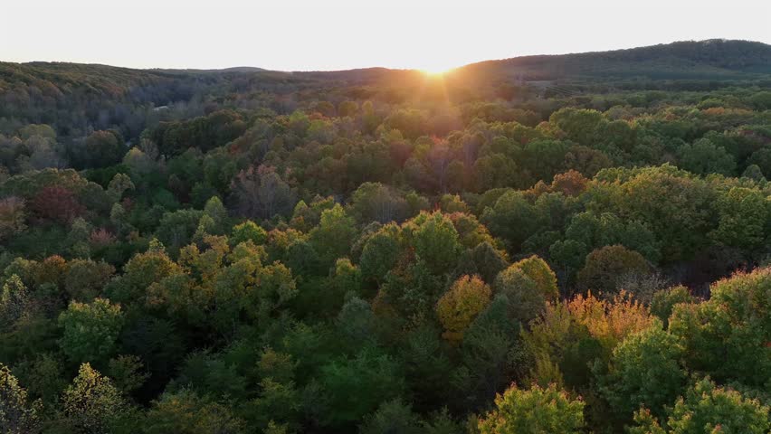 Peaceful and quaint forest landscape during golden sunset. Multi-colored trees in fall season. Sunlight of sunset behind mountains. Aerial panorama wide shot. American suburb, USA.
