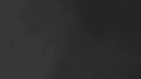 Soft swirling smoke drifting in dark space. Gentle waves forming abstract curves, cinematic vapor, floating texture, mystery motion, ethereal depth. - Powered by Shutterstock - Get 15% off with code: PIKWIZARD15